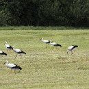 Foto-Forum BEFO-2014-  019